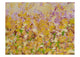 Petals in Light Print